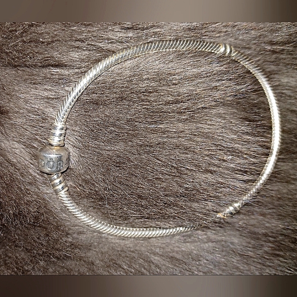 Pandora Serpentine Charm Bracelet